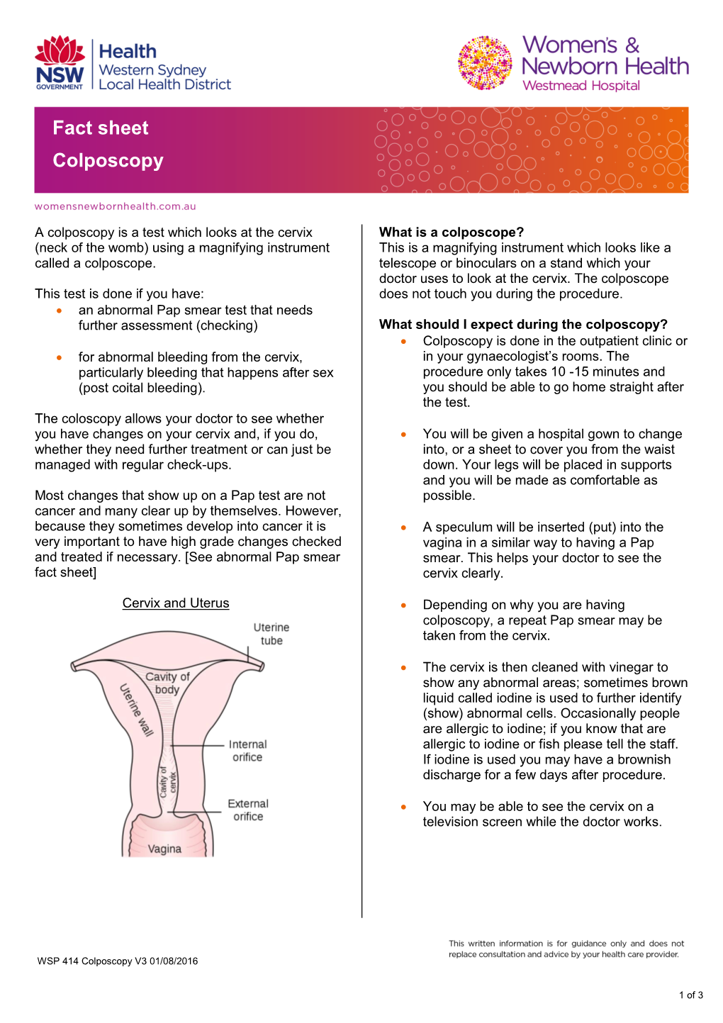 Fact Sheet Colposcopy