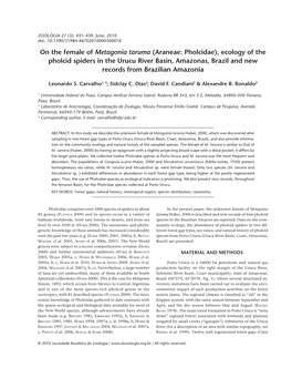 On the Female of Metagonia Taruma (Araneae: Pholcidae), Ecology Of