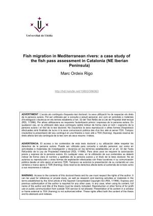 Fish Migration in Mediterranean Rivers: a Case Study of the Fish Pass Assessment in Catalonia (NE Iberian Peninsula)