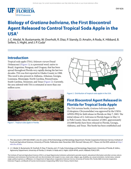 Biology of Gratiana Boliviana, the First Biocontrol Agent Released to Control Tropical Soda Apple in the USA1 J