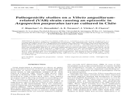 Pathogenicity Studies on a Vibrio Anguillarum- Related (VAR) Strain Causing an Epizootic in Argopecten Purpuratus Larvae Cultured in Chile