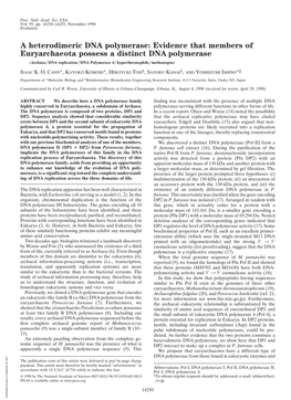 A Heterodimeric DNA Polymerase: Evidence That Members Of