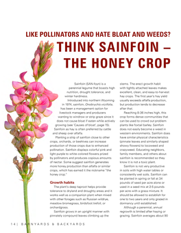 Think Sainfoin – the Honey Crop