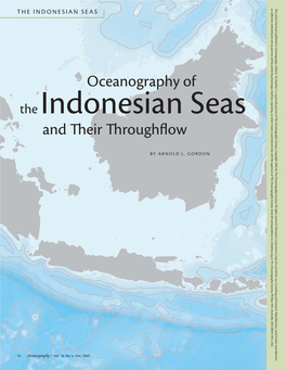 Oceanography of and Their Throughflow