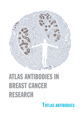 Atlas Antibodies in Breast Cancer Research Table of Contents