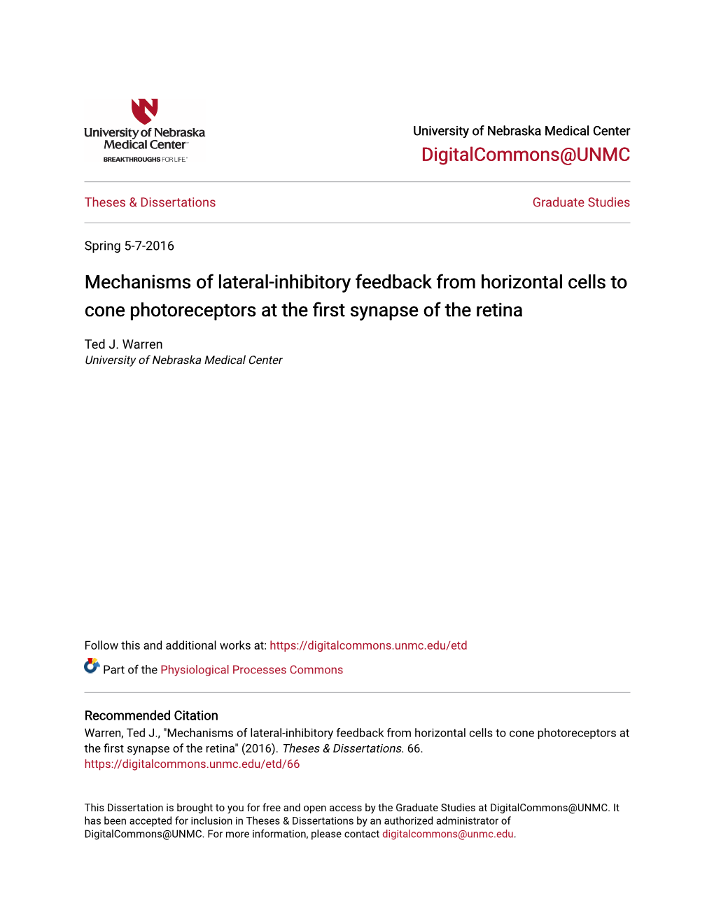 mechanisms-of-lateral-inhibitory-feedback-from-horizontal-cells-to-cone