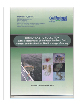 Microplast 2018.Pdf