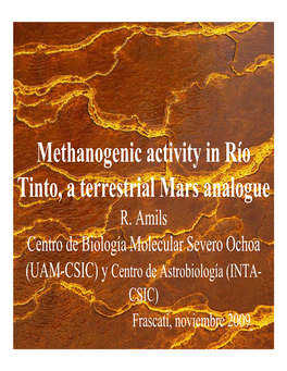 Methanogenic Activity in Río Tinto, a Terrestrial Mars Analogue R