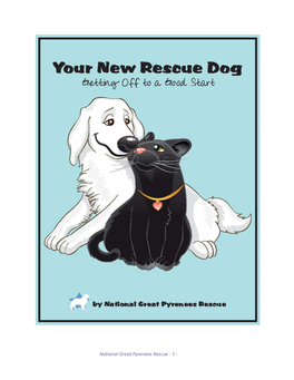 Your New Rescue Dog