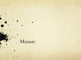 Myiasis Myiasis Is the Invasion of a Living Vertebrate Animal by Fly Larvae