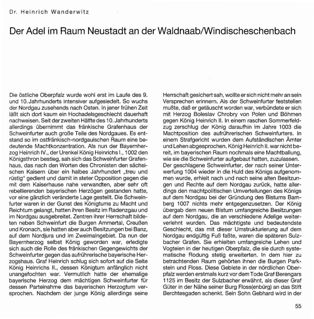 Der Adel Im Raum Neustadt an Der Waldnaab/Windischeschenbach