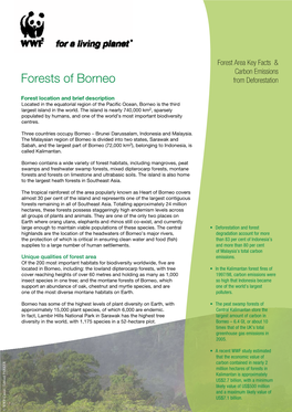 Forests of Borneo from Deforestation