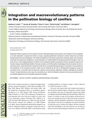 Integration and Macroevolutionary Patterns in the Pollination Biology of Conifers