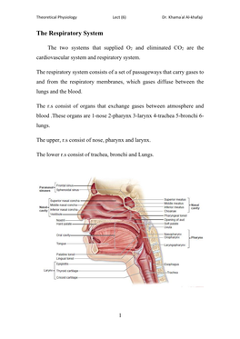 The Respiratory System