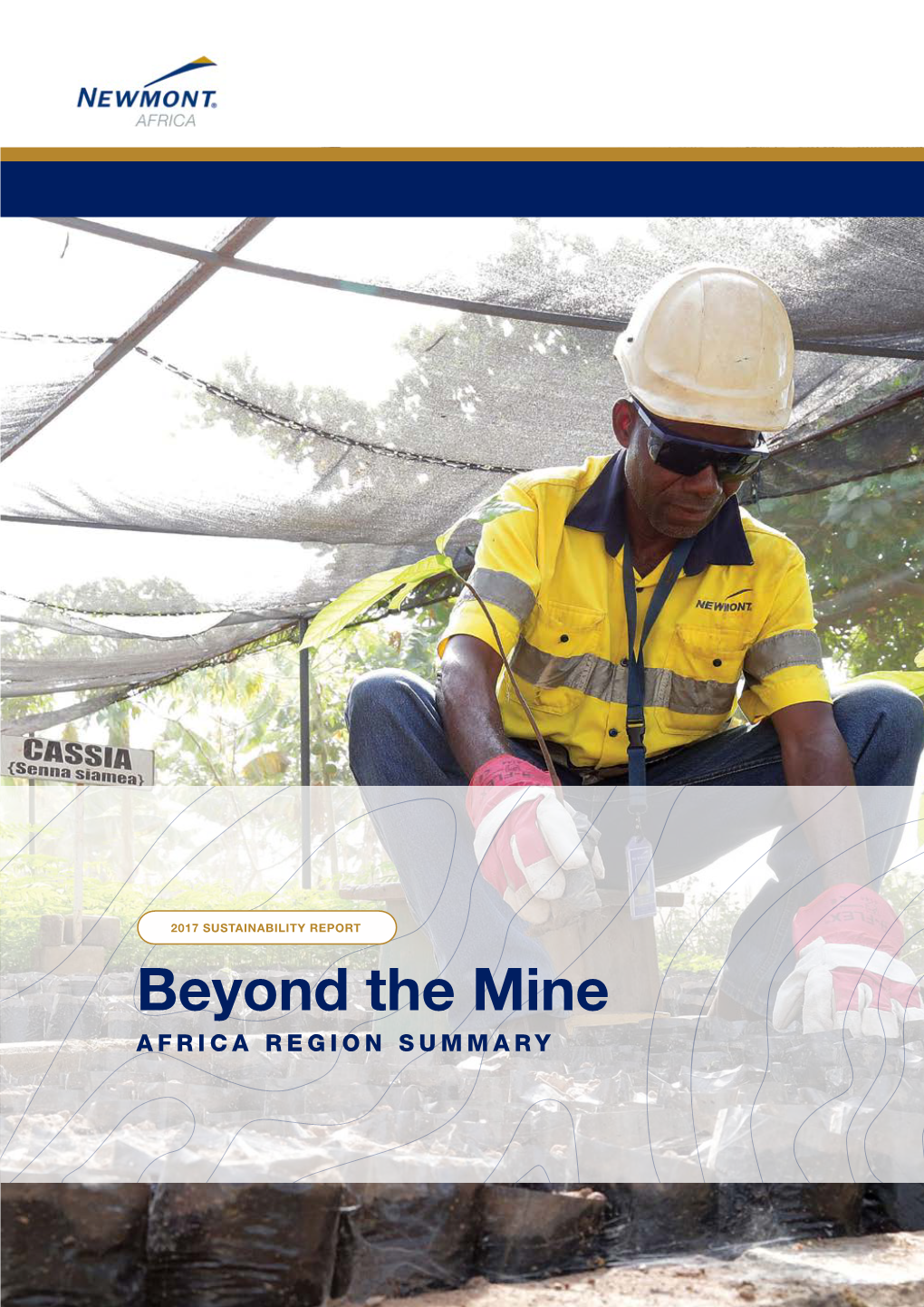 Beyond the Mine AFRICA REGION SUMMARY Table of Contents