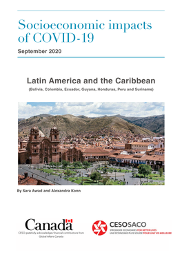 Socioeconomic Impacts of COVID-19: Latin America and the Caribbean