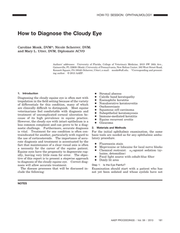 How to Diagnose the Cloudy Eye