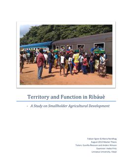 Territory and Function in Ribáuè - a Study on Smallholder Agricultural Development