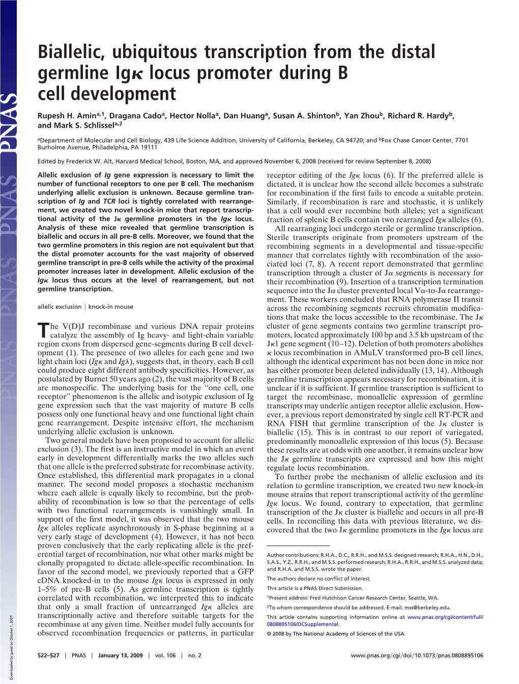 Biallelic, Ubiquitous Transcription from the Distal Germline Ig Locus Promoter During B Cell Development