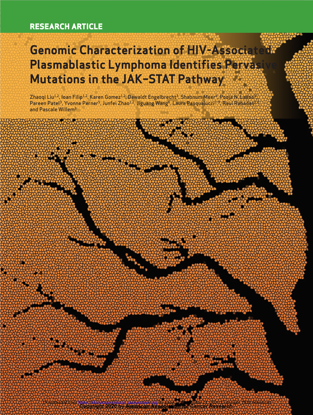 Genomic Characterization of HIV-Associated Plasmablastic Lymphoma Identifies Pervasive Mutations in the JAK–STAT Pathway