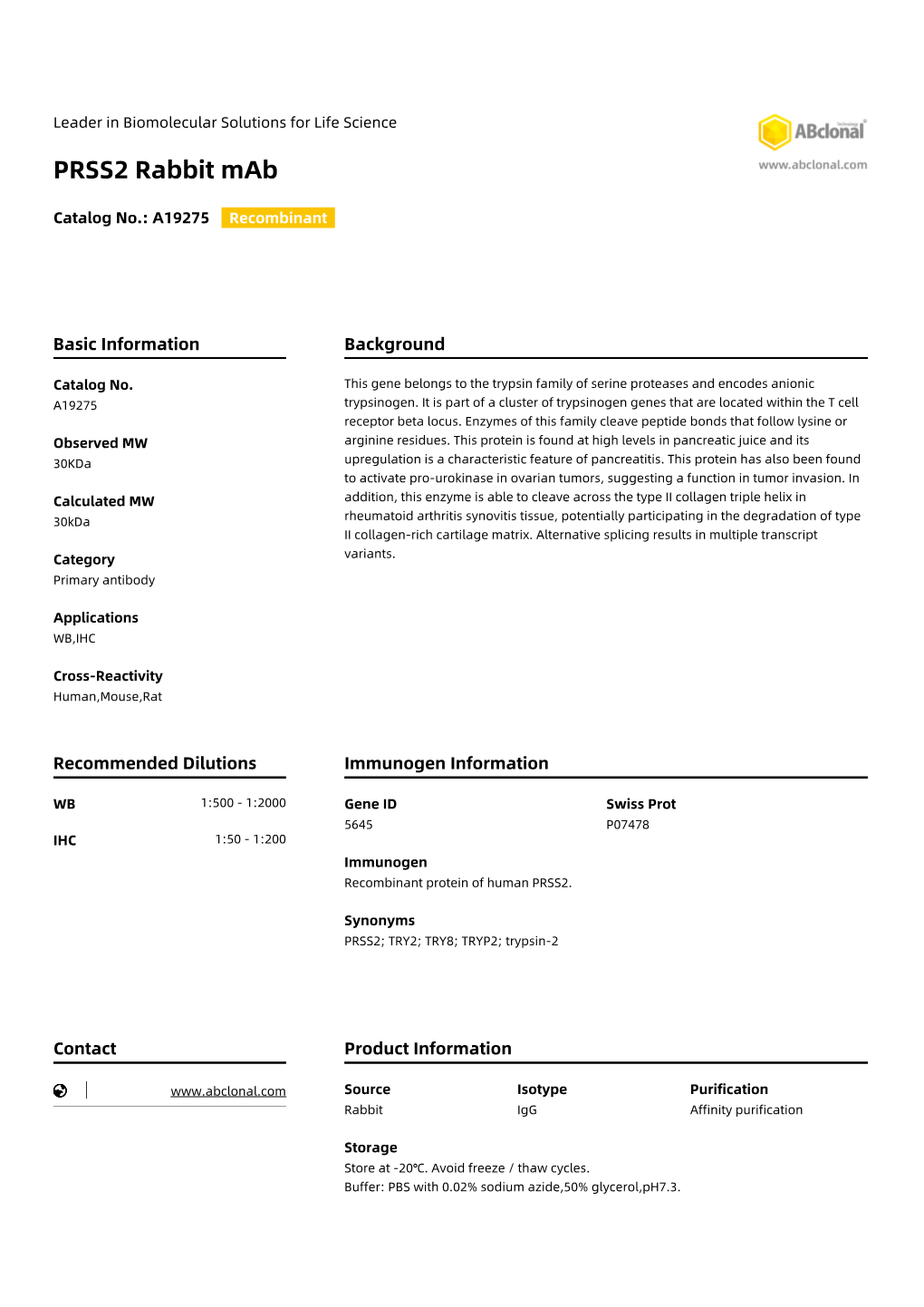 PRSS2 Rabbit Mab