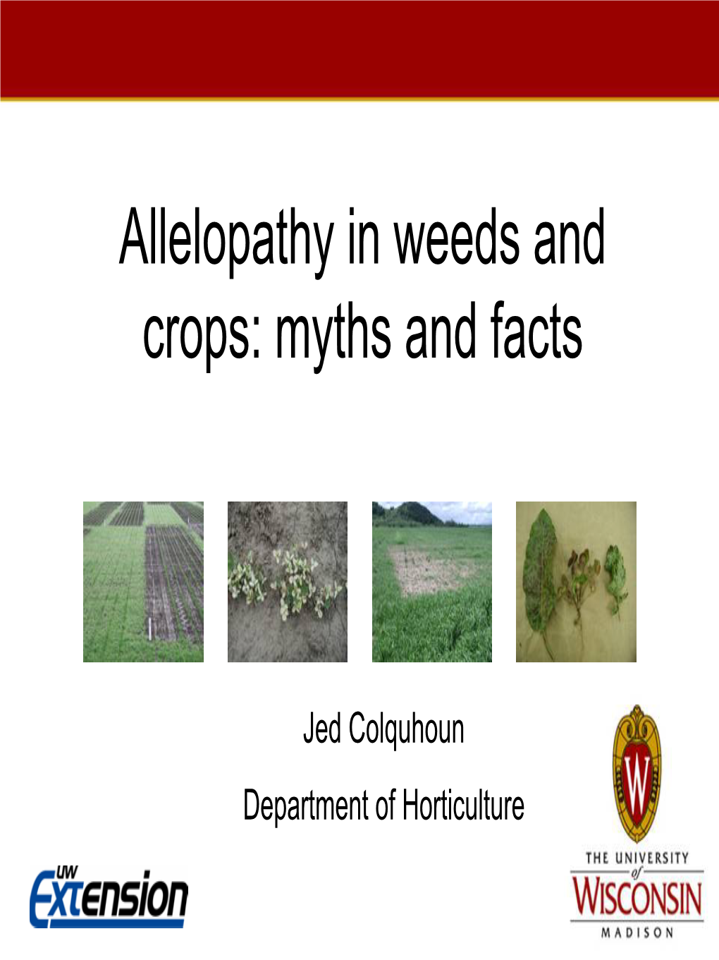 Allelopathy in Weeds and Crops: Myths and Facts