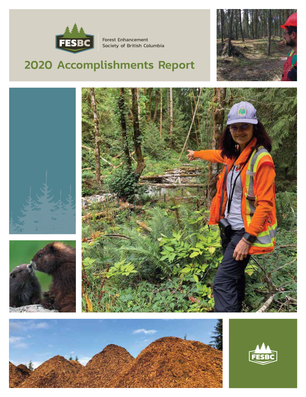 2020 Accomplishments Report