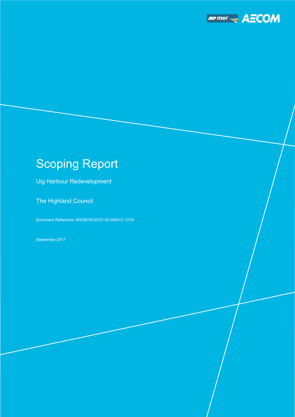 Scoping Report