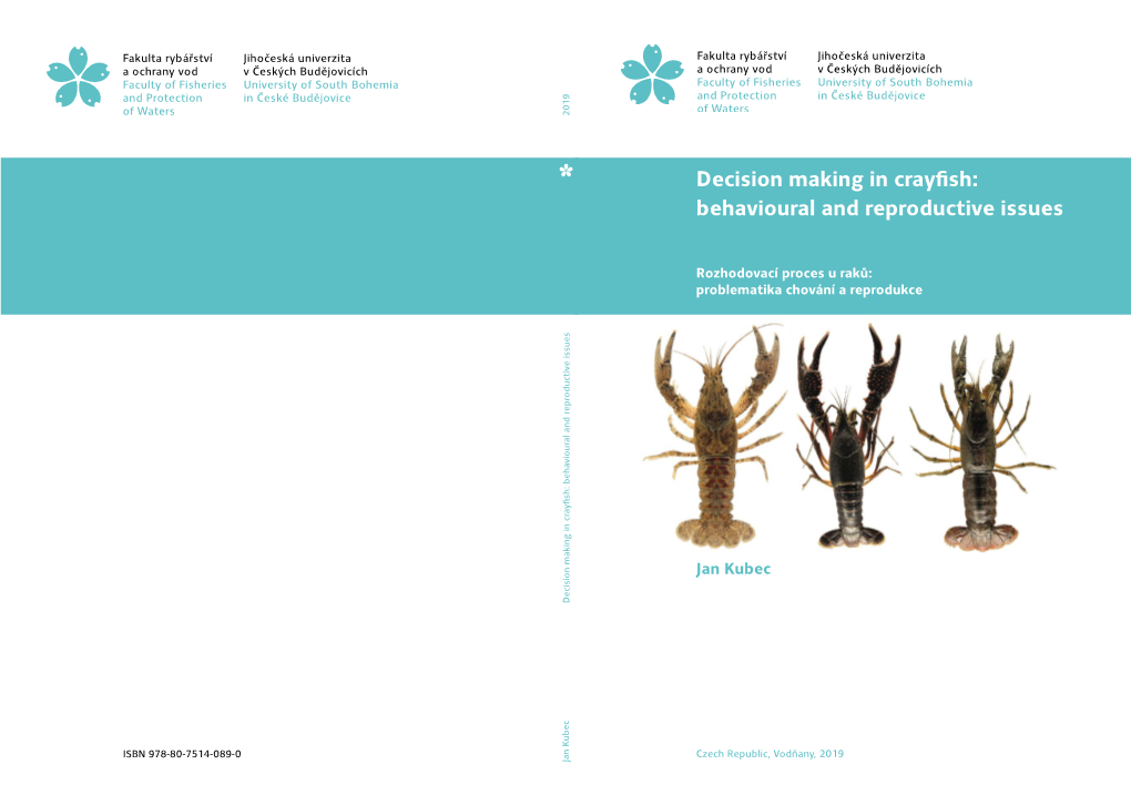 Decision Making in Crayfish