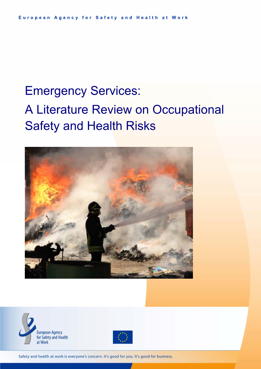 A Literature Review on Occupational Safety and Health Risks