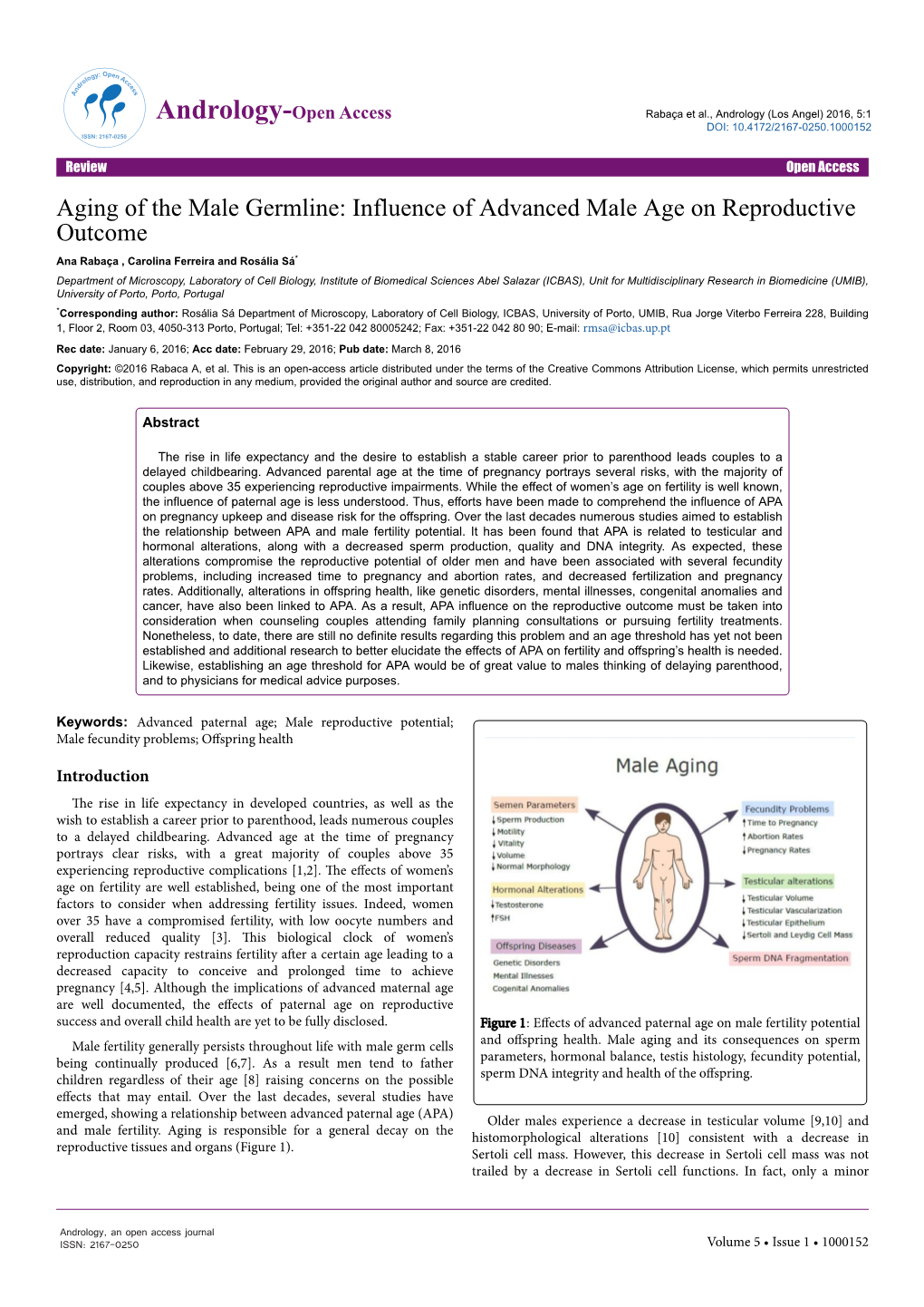 Aging of the Male Germline: Influence of Advanced Male Age On