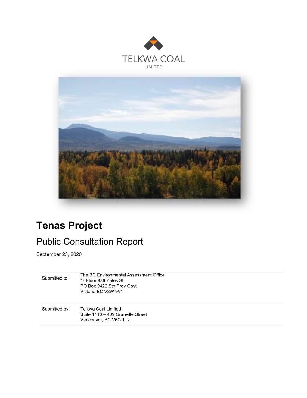 Tenas Project Public Consultation Report