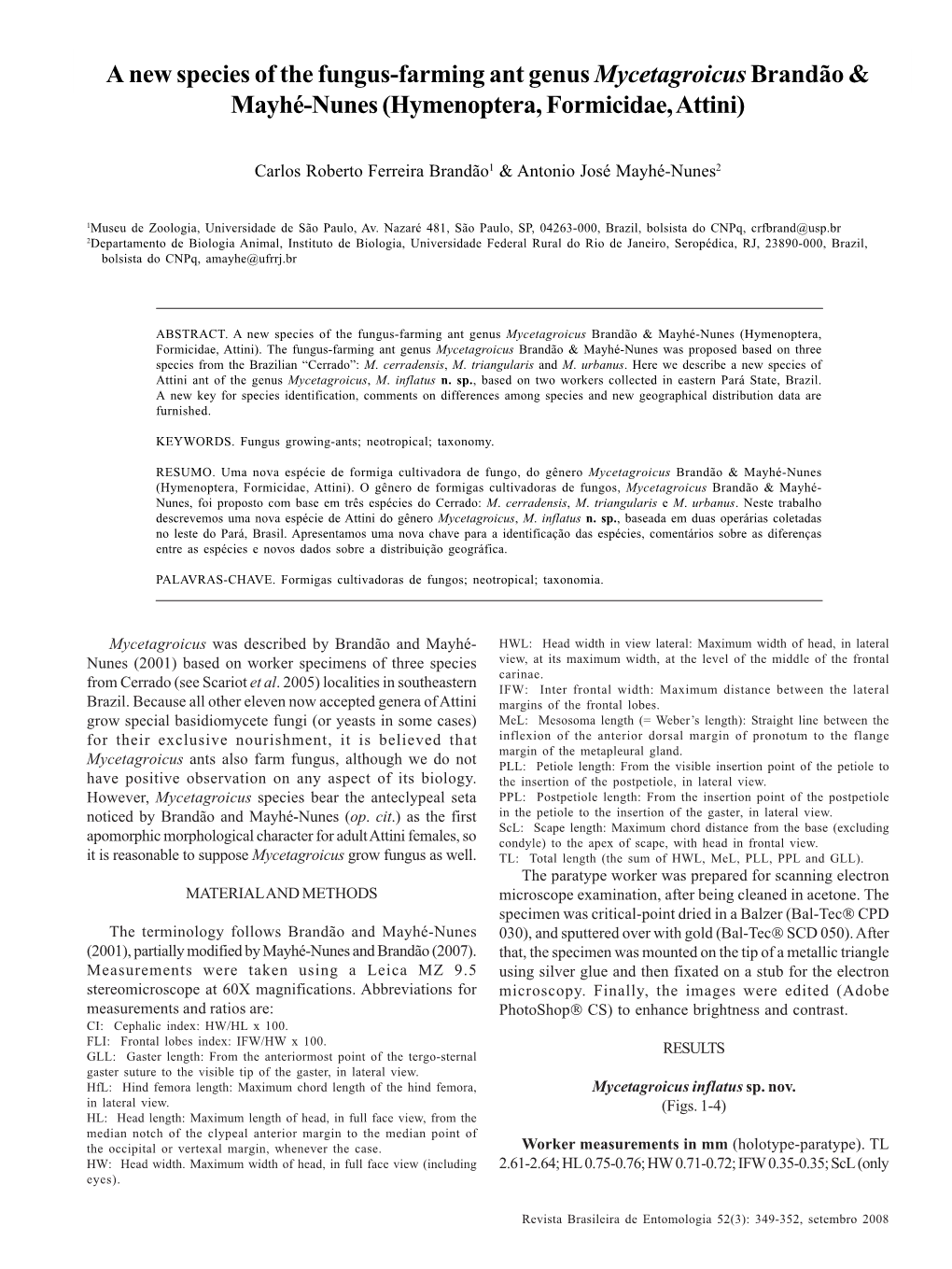 A New Species of the Fungus-Farming Ant Genus Mycetagroicus Brandão & Mayhé-Nunes (Hymenoptera, Formicidae, Attini)