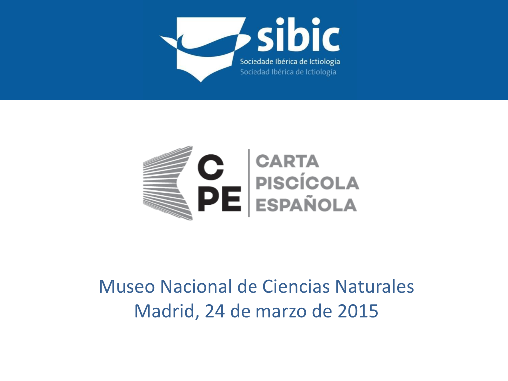 Plantilla De Presentación De La SIBIC