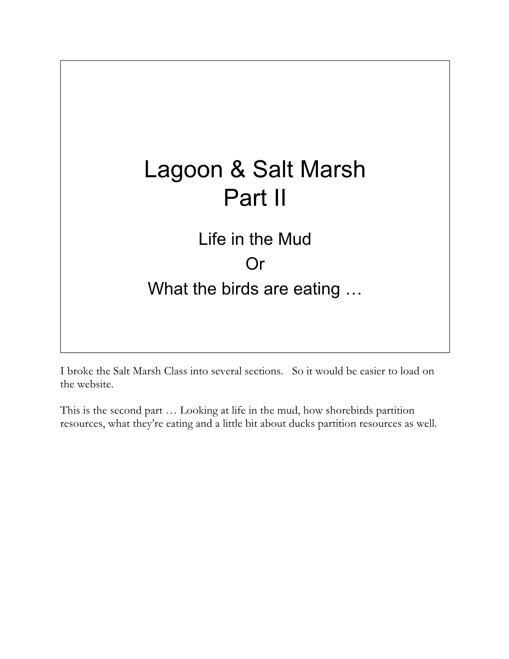 Lagoon & Salt Marsh Part II