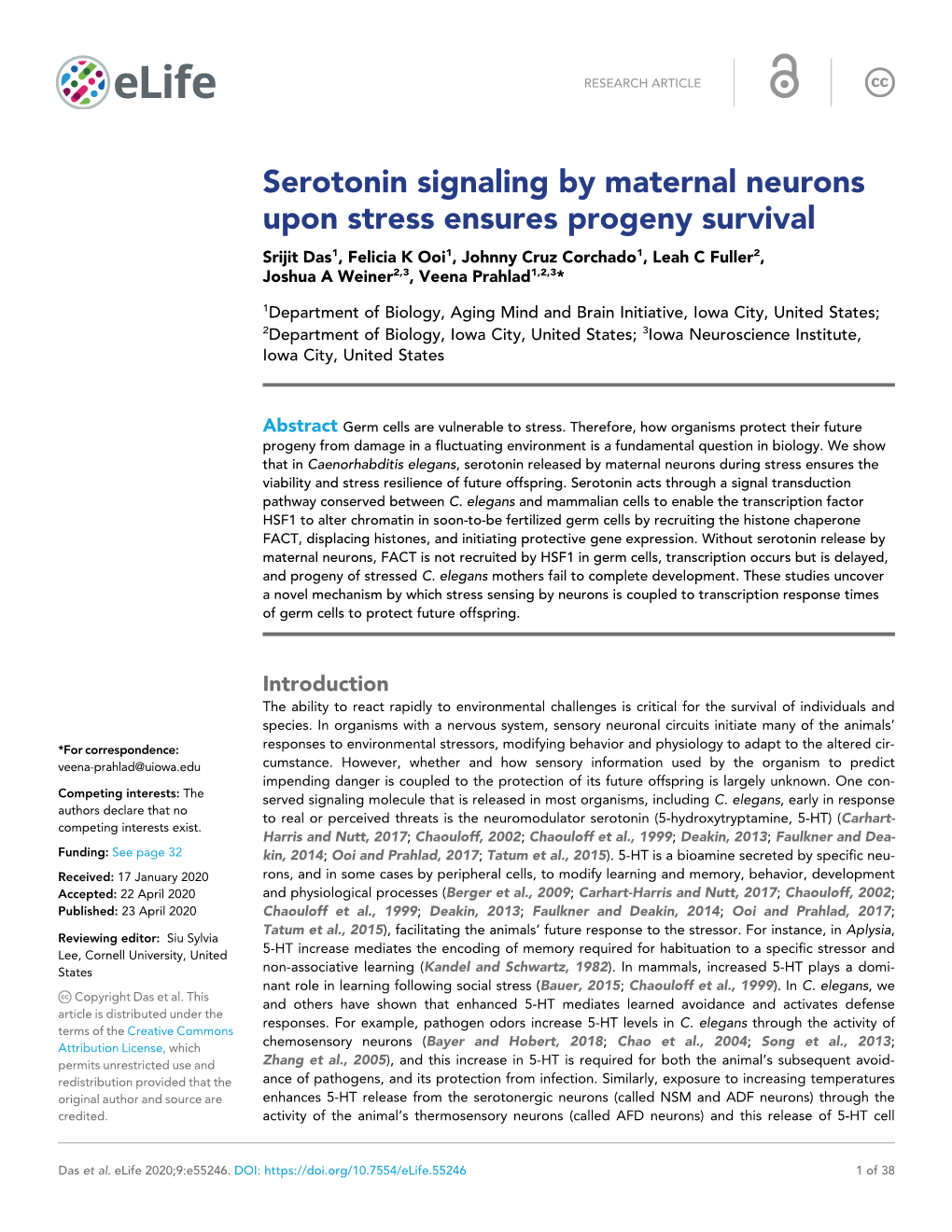 Serotonin Signaling by Maternal Neurons Upon Stress Ensures