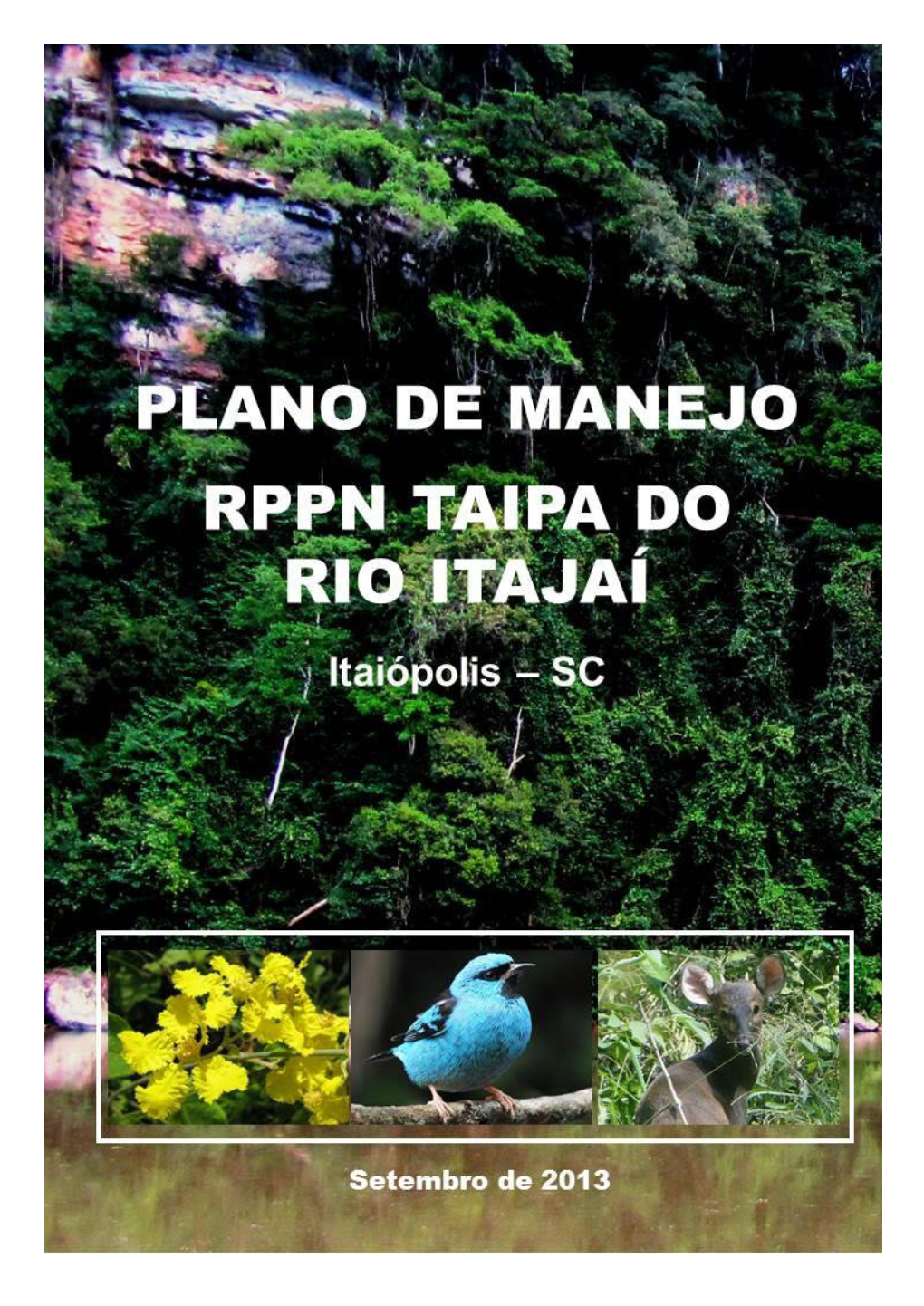 Plano De Manejo Rppn Taipa Do Rio Itajaí