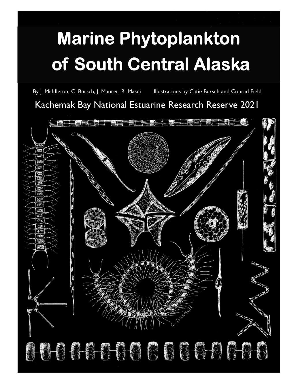 Marine Phytoplankton of South Central Alaska