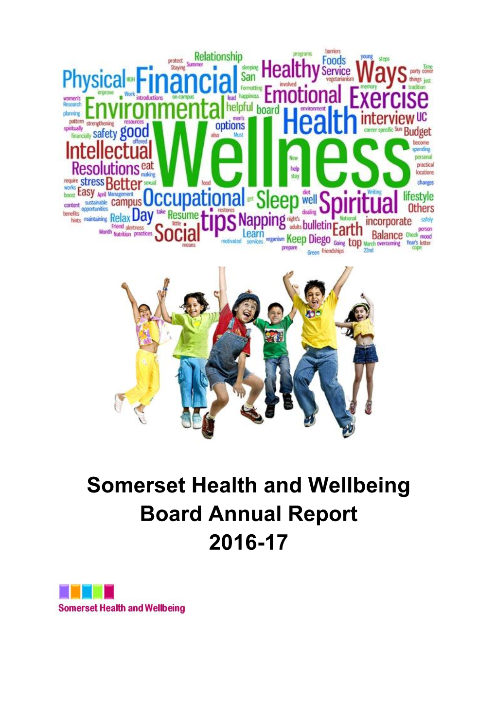 Somerset Health and Wellbeing Board Annual Report 2016-17