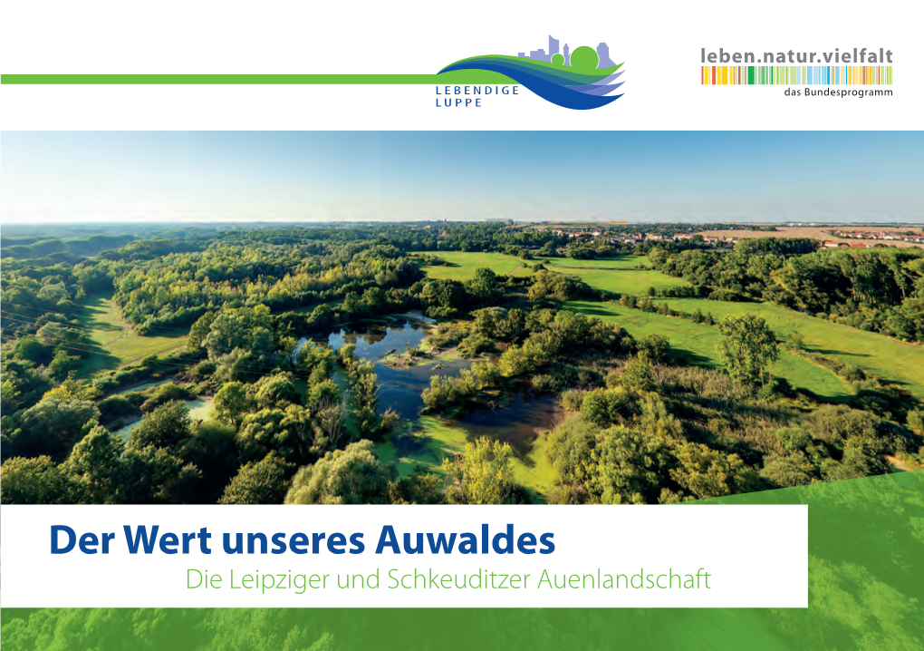 Der Wert Unseres Auwaldes – Die Leipziger Und Schkeuditzer Auenlandschaft