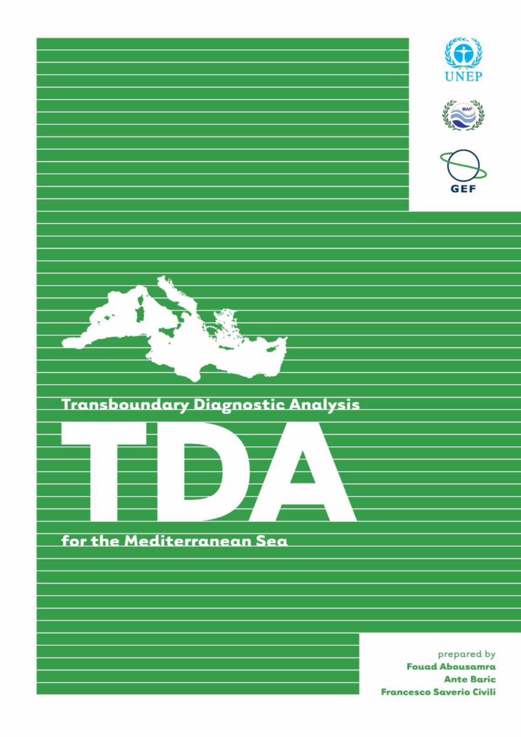 Transboundary Diagnostic Analysis for the Mediterranean