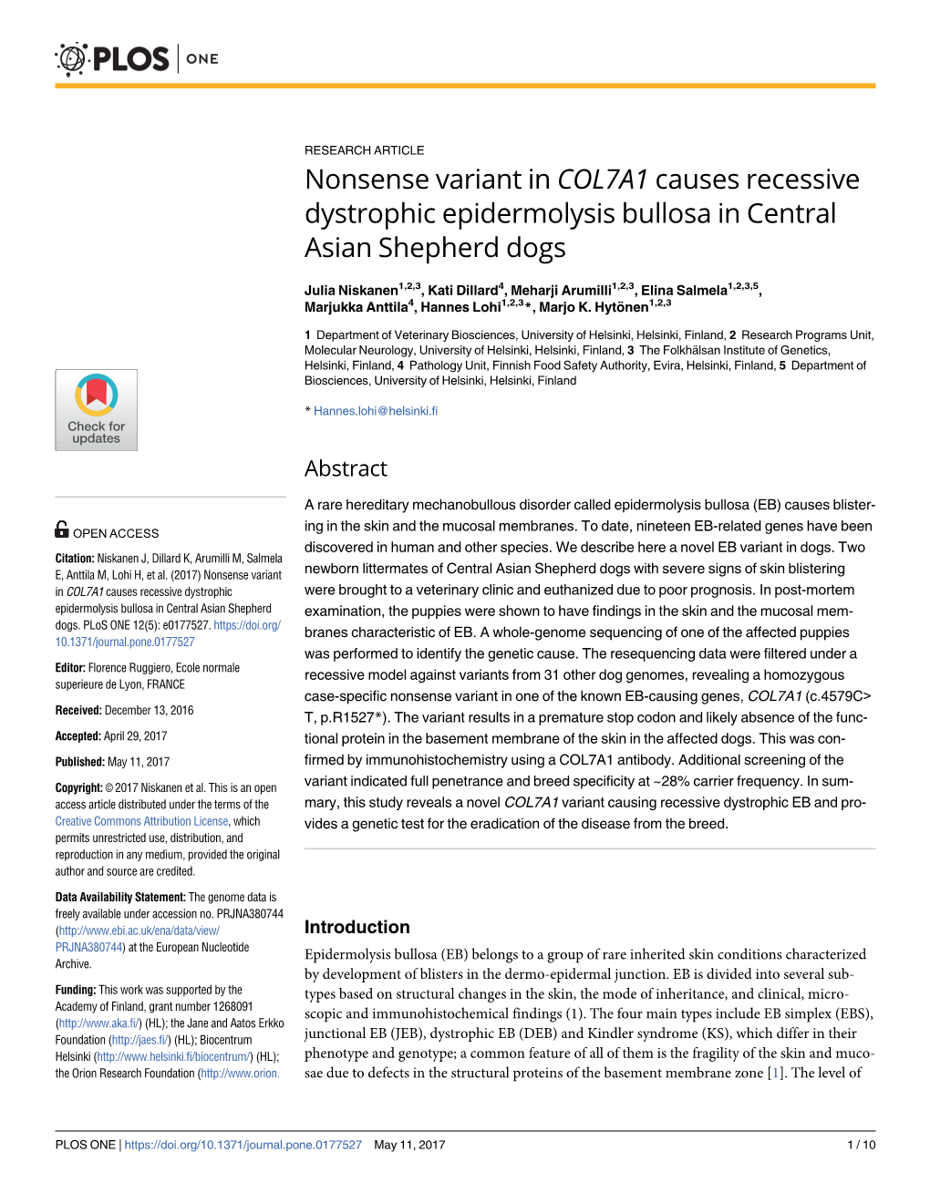 Nonsense Variant in COL7A1 Causes Recessive Dystrophic Epidermolysis Bullosa in Central Asian Shepherd Dogs