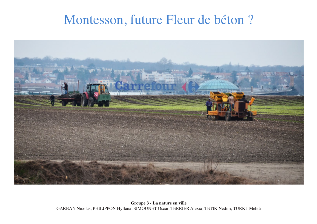 Montesson, Future Fleur De Béton ?