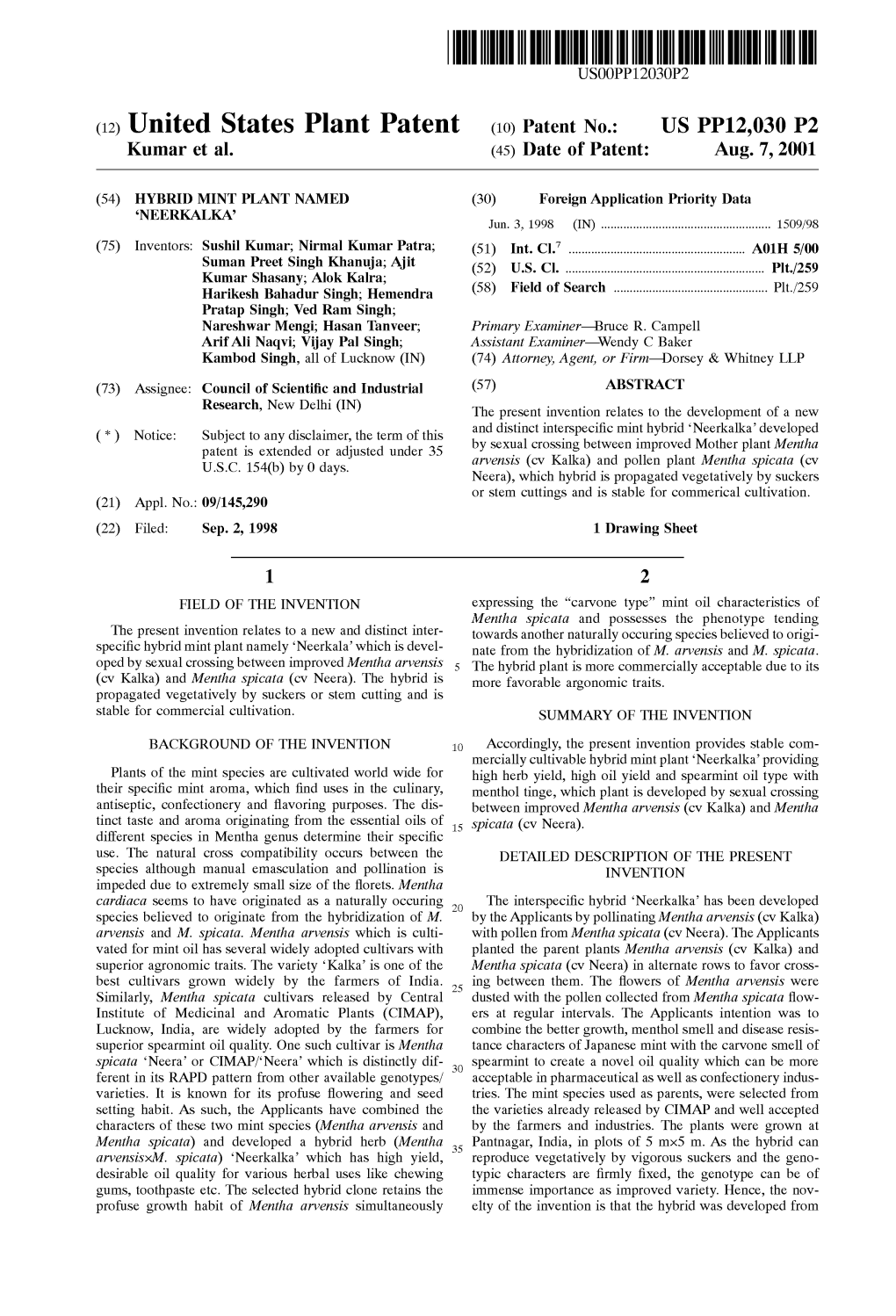 (12) United States Plant Patent (10) Patent No.: US PP12,030 P2 Kumar Et Al