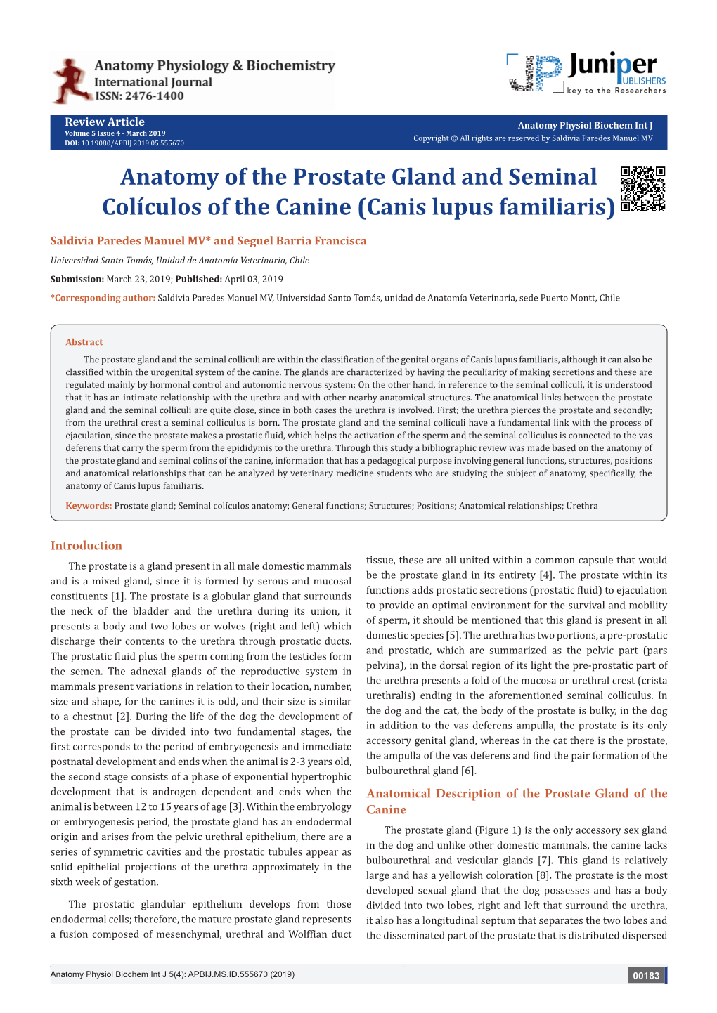 Anatomy of the Prostate Gland and Seminal Colículos of the Canine (Canis Lupus Familiaris)