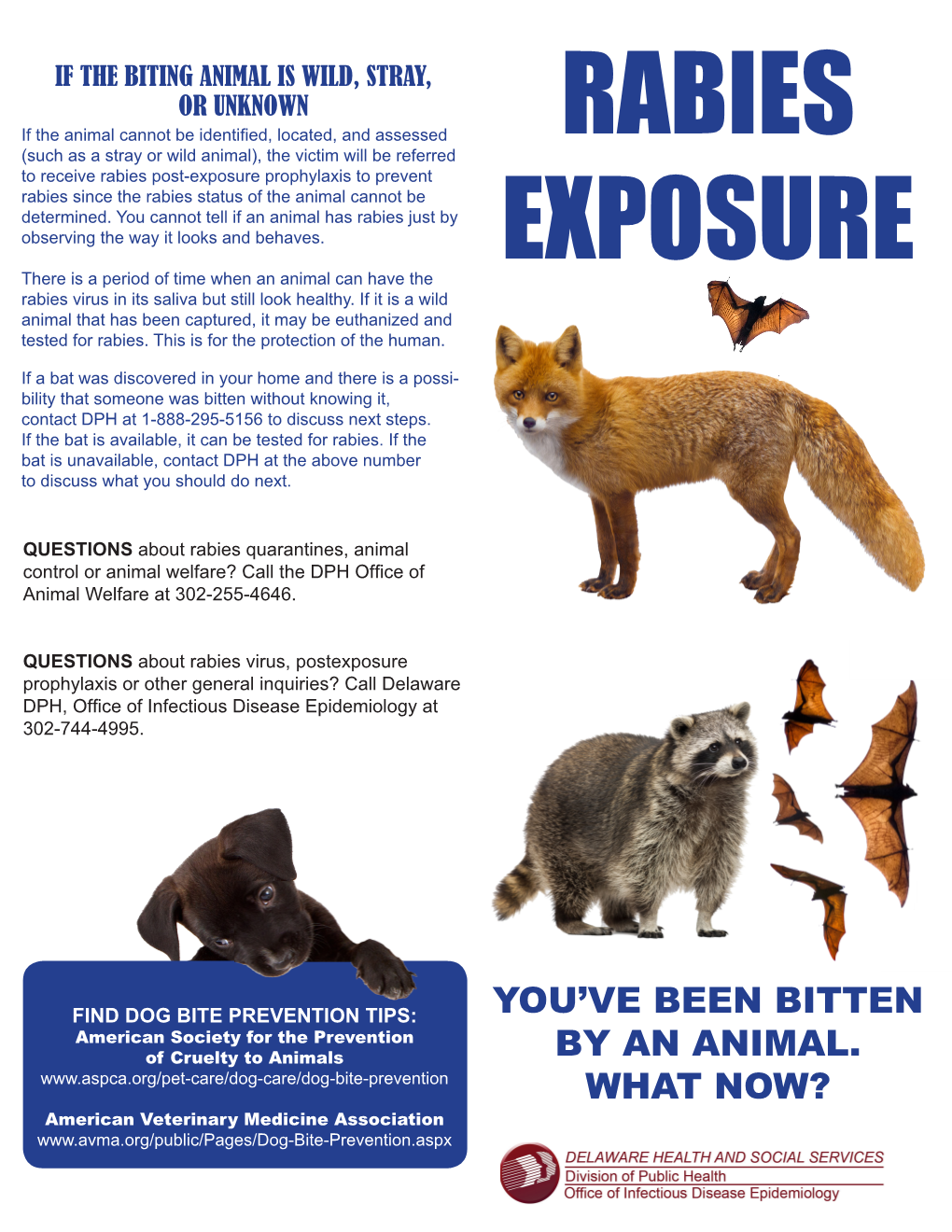 Rabies Exposure