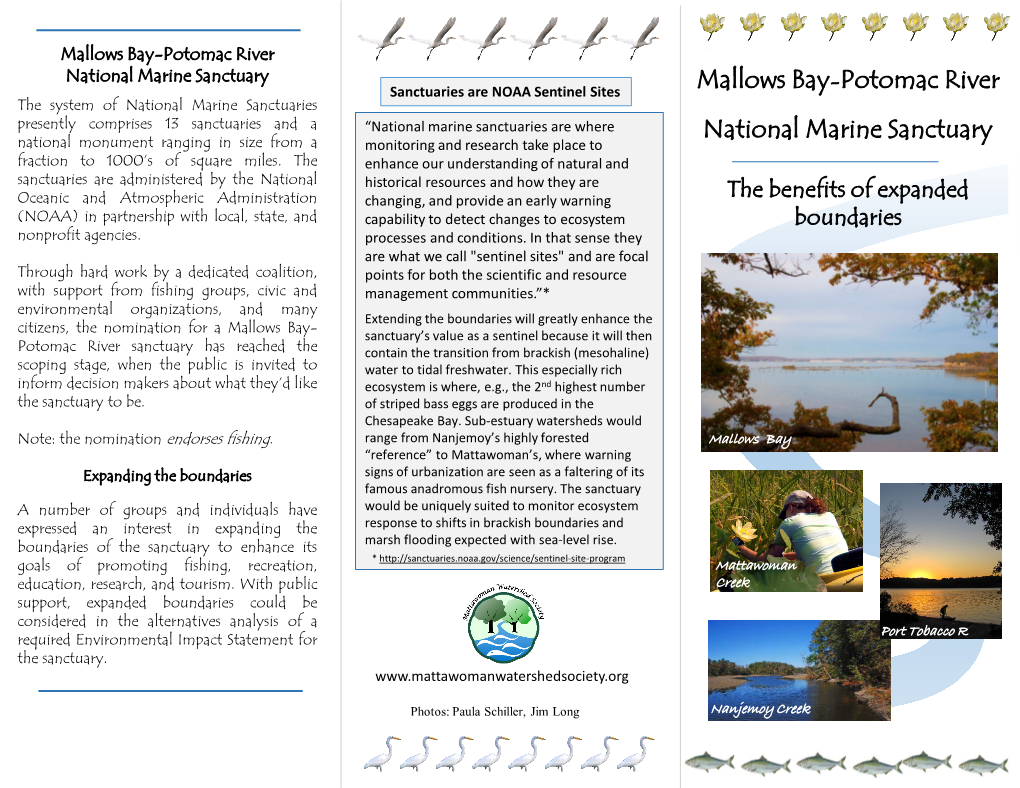 Mallows Bay-Potomac River National Marine Sanctuary