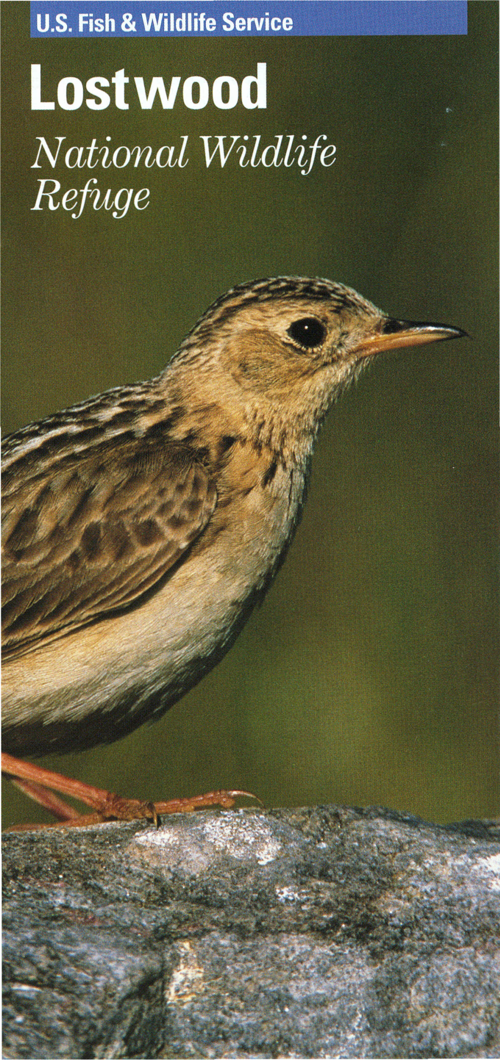 Lostwood National Wildlife Refuge to Lostwood (NWR) Is One of Over 540 Refuges "This Region Is High National Wildlife Administered by the U.S