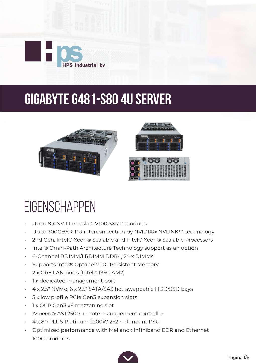 Gigabyte G481-S80 4U Server EIGENSCHAPPEN