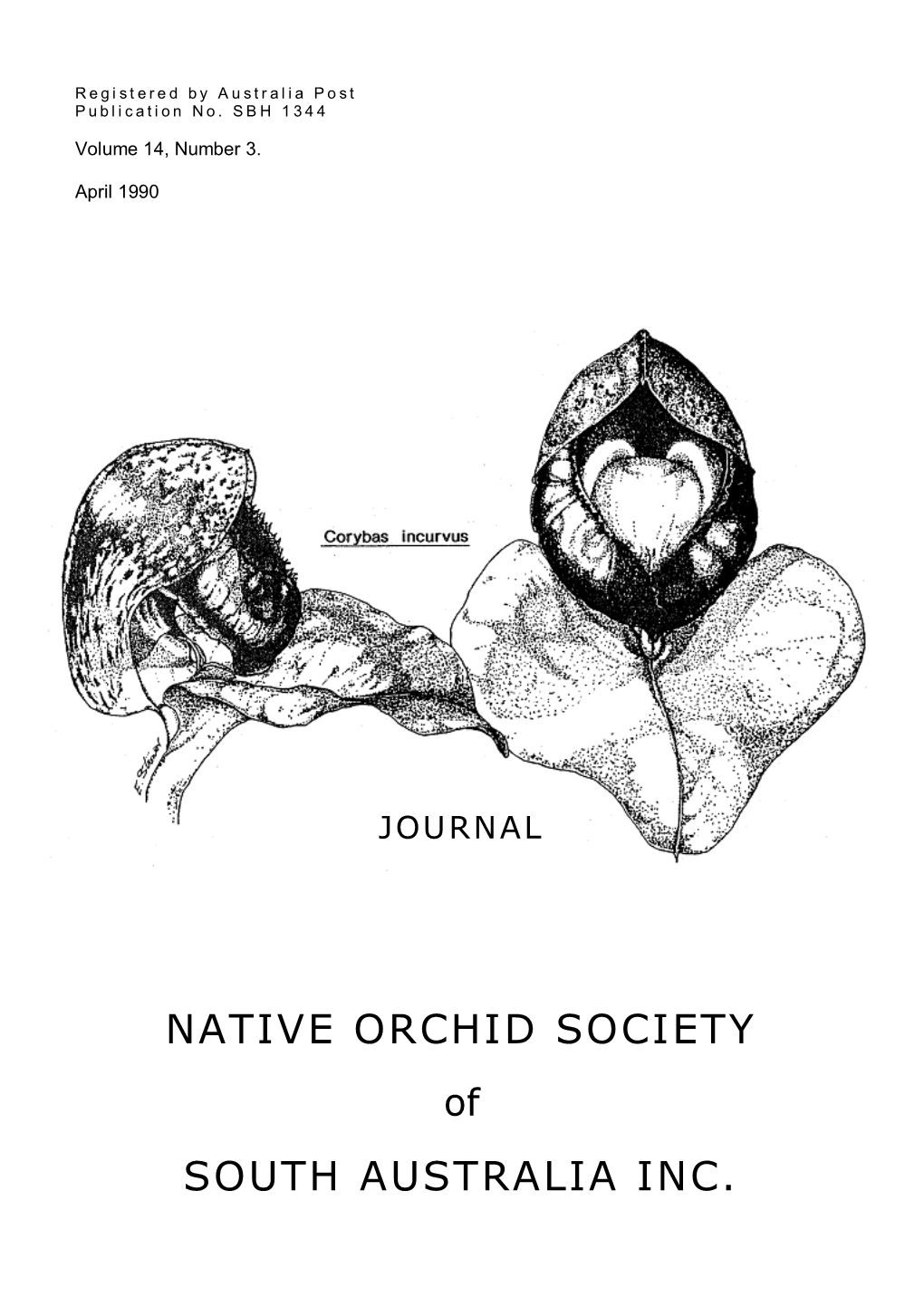 Native Orchid Society South Australia Inc